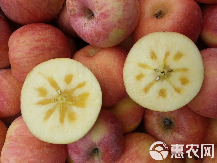 糖心工作室：为你带来创意与灵感的源泉