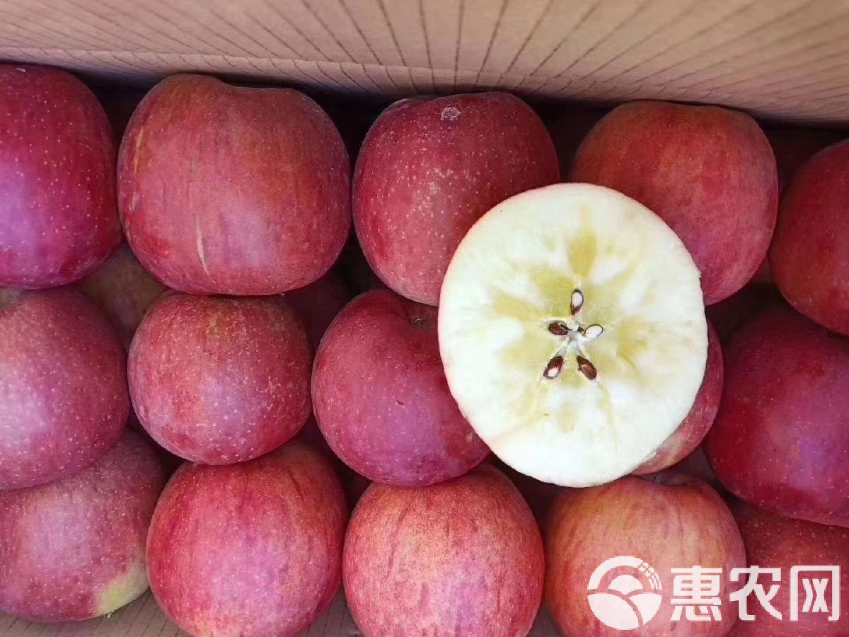 糖心女主颜值排名：谁是最美的甜心女神？